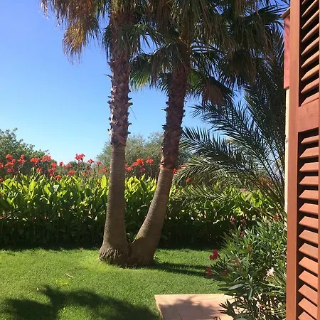 Sampoli - Son Sampoli - Adults Only * לןקמאג'ור