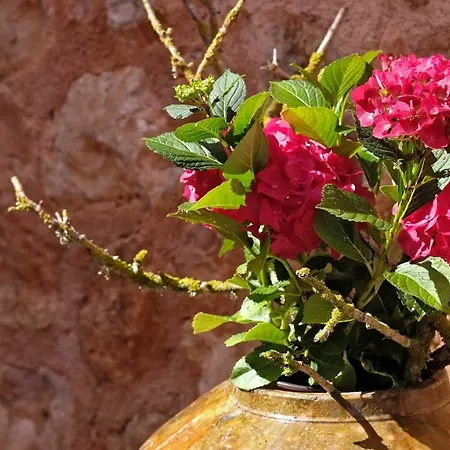 Sampoli - Son Sampoli - Adults Only * Llucmajor (Mallorca)